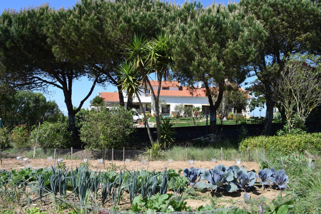 Casa Jardim Peniche Panzió São Bernardino Kültér fotó